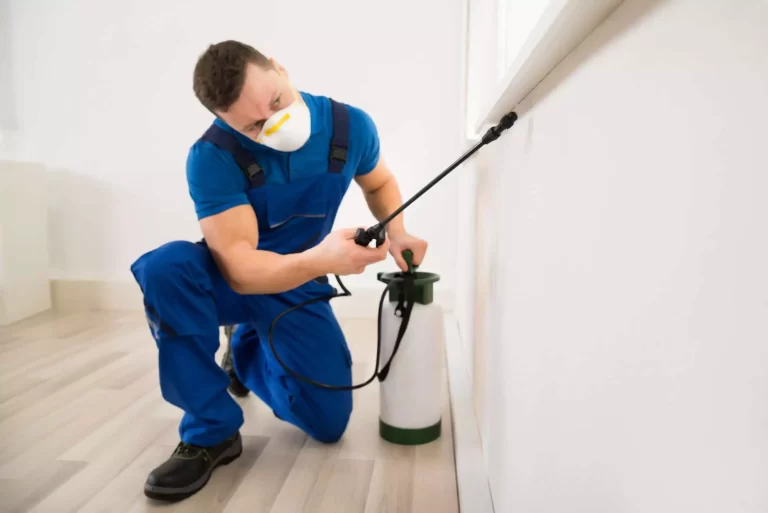 Top 5 Signs You Need Pest Control