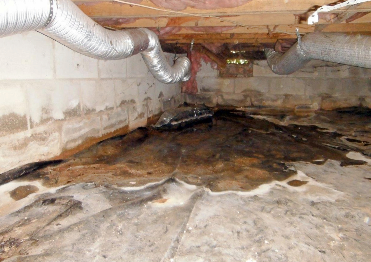 moisture inspection