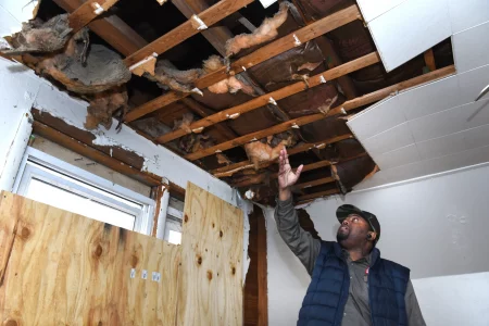 termite treatment